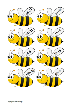 matem pszczoły 3