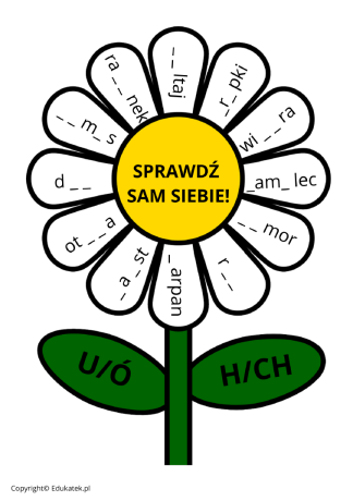 zestaw ortograficzny 1