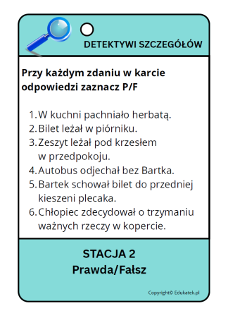 detektywi szczegółów 2